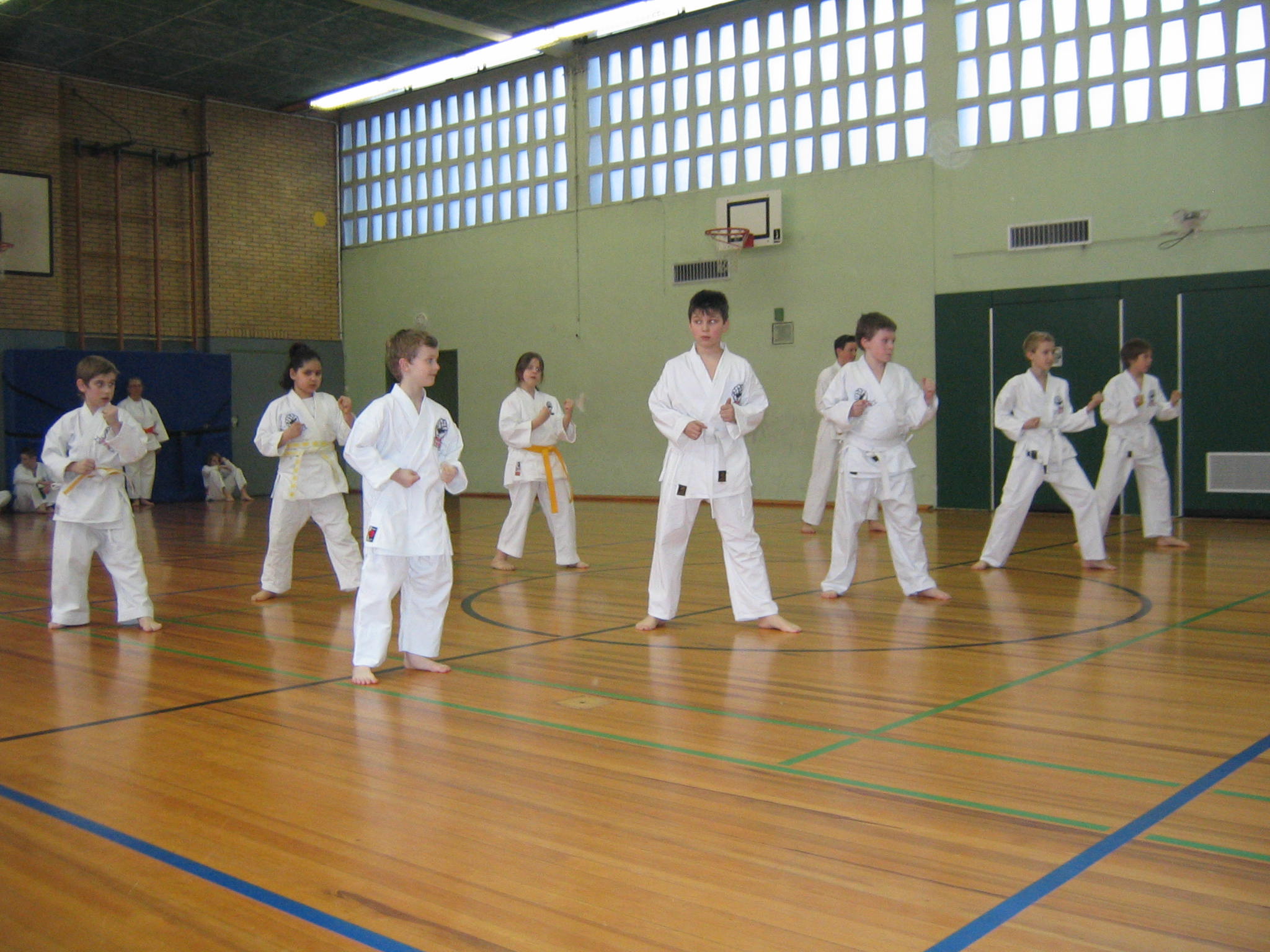 Image 12 of 25  -  379 kB