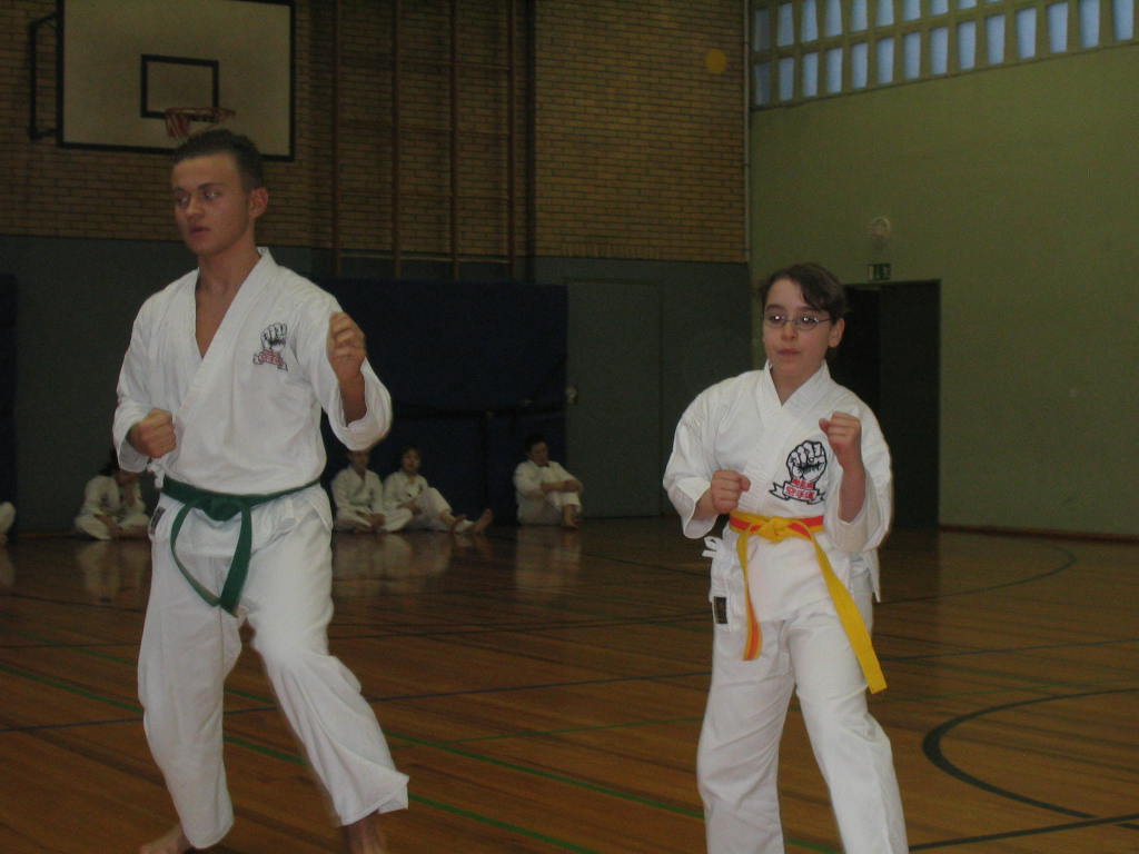 Image 15 of 25  -  83 kB