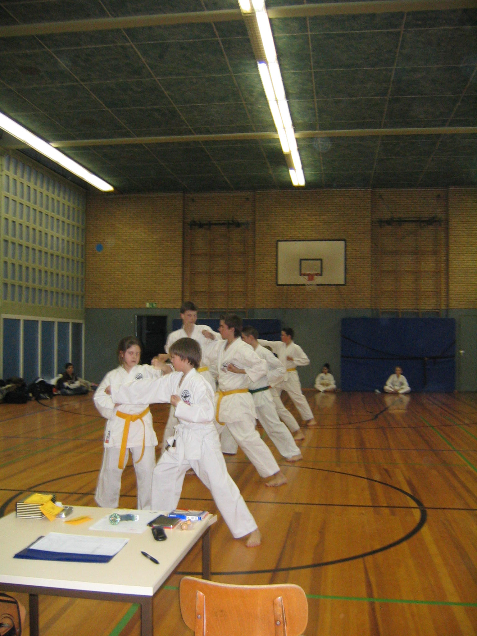 Image 20 of 25  -  398 kB