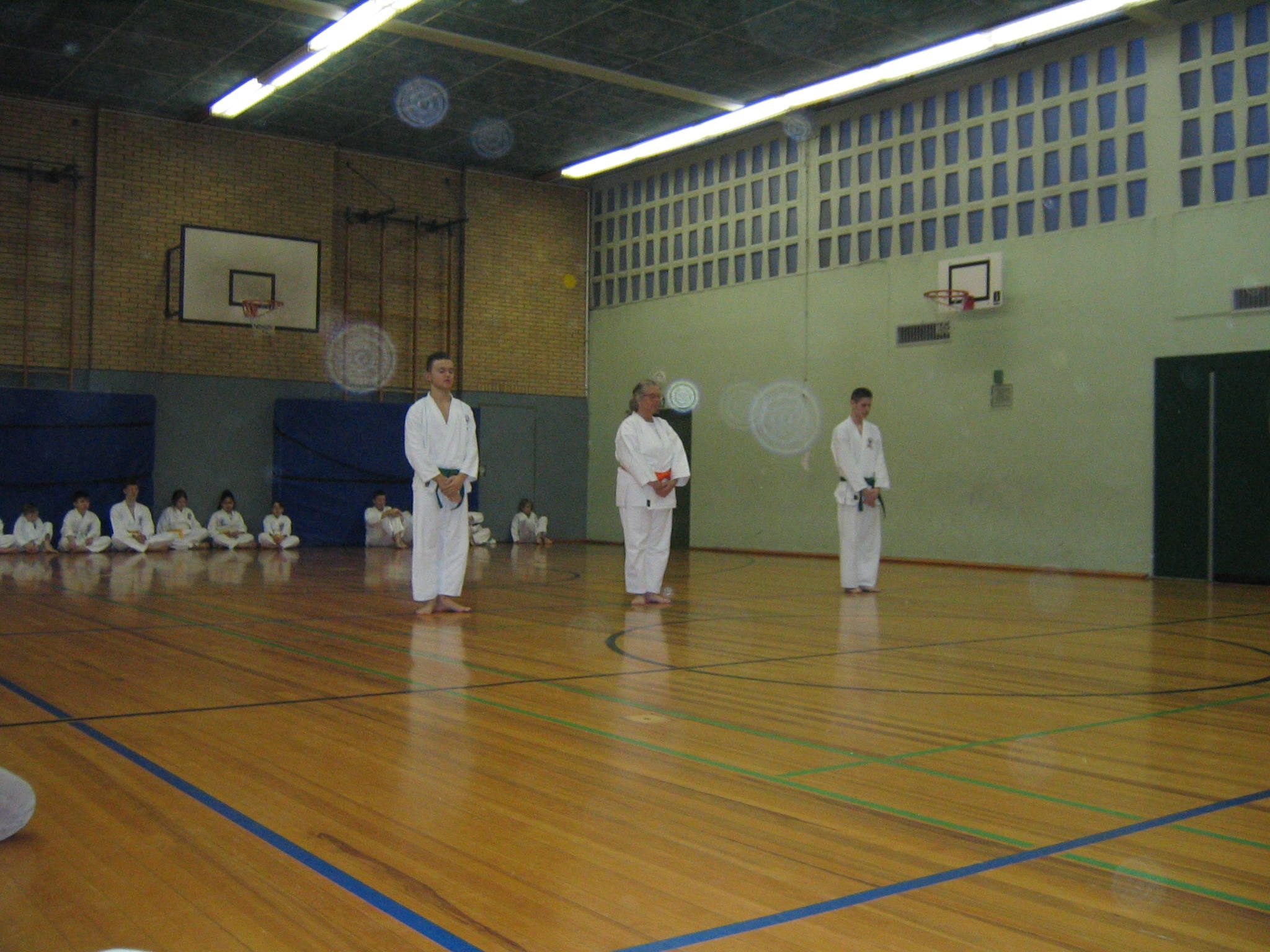 Image 24 of 25  -  391 kB