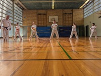img/210.jpg